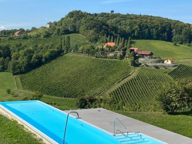 PROVISIONSFREIER FERIENTRAUM SOMMERAKTION* Vollausgestattetes Apartment mit Infinity Pool und Sauna in Traumlage
