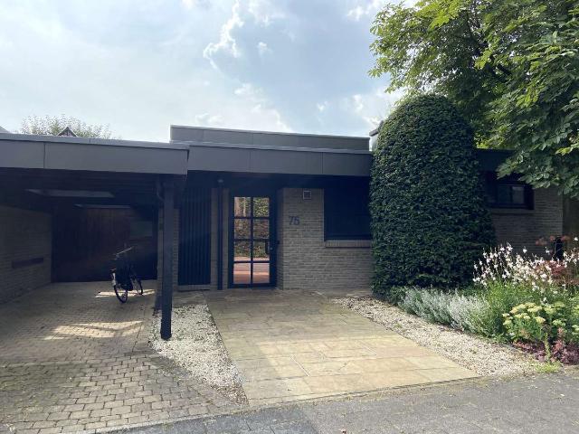 Provisionsfreier, lichtdurchfluteter Architektenbungalow mit Garten in Münster Mecklenbeck