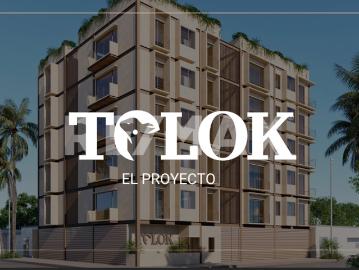 TOLOK 404