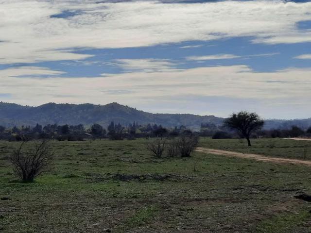 Proyecto Parcelas La Retirada 100% Planas | 0 dormitorios por 24990. 00 en Pumanque