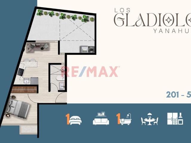 Proyectos Gladiolos Tipologia De 1 Habitacion Con Patio 201