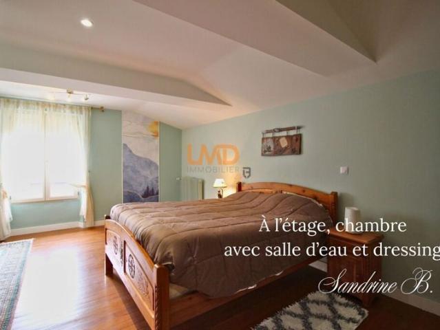 proche Beaumont de Lomagne. Maison aux grands espaces et annexes