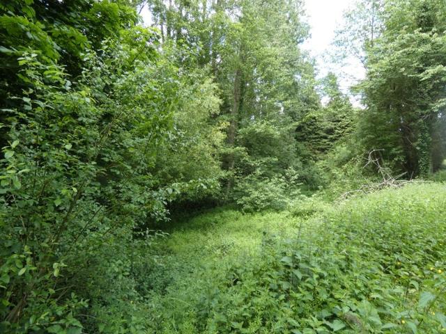 proche de ARGENTAN 61 propriété de 9078 m² de terrain