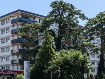 Rue Collet, Vevey, District de la Riviera-Pays-d’Enhaut, Kanton Freiburg