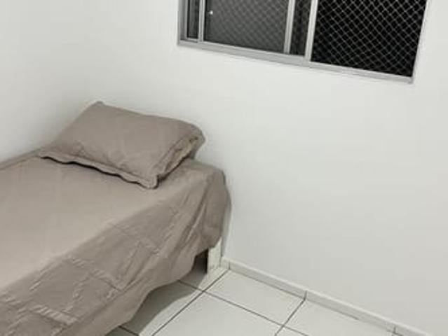 Procuro nova colega de apartamento