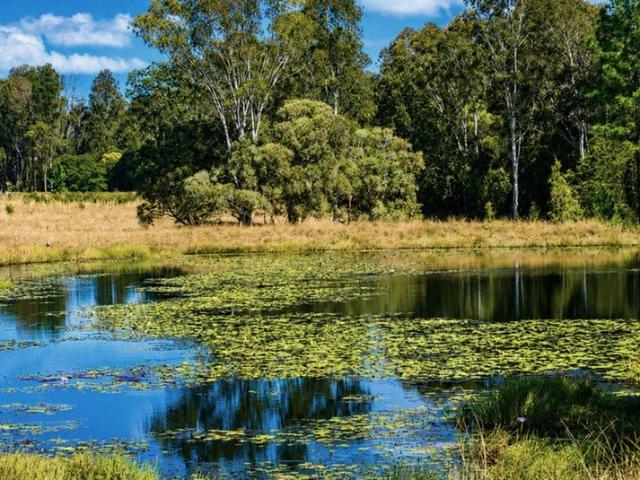 Productive Acreage,Outstanding Water Security, Well Established Timber