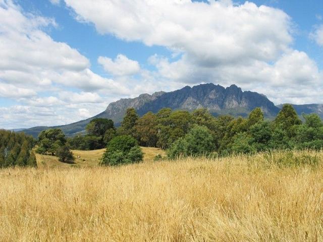 Productive Acreage, Mixed Farming Options, Expansive Views Under Contract