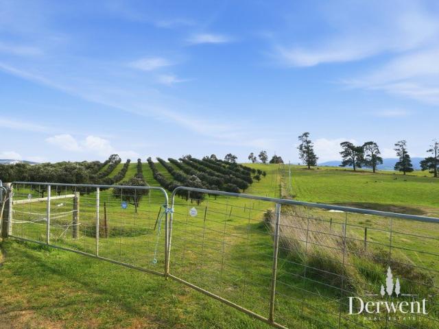 Productive Agricultural Land with Creek Frontage and Stunning Valley Views