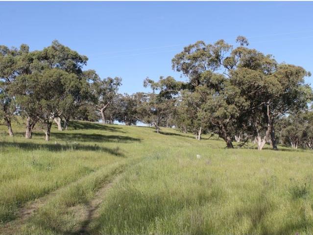 Productive and Picturesque Lifestyle Property