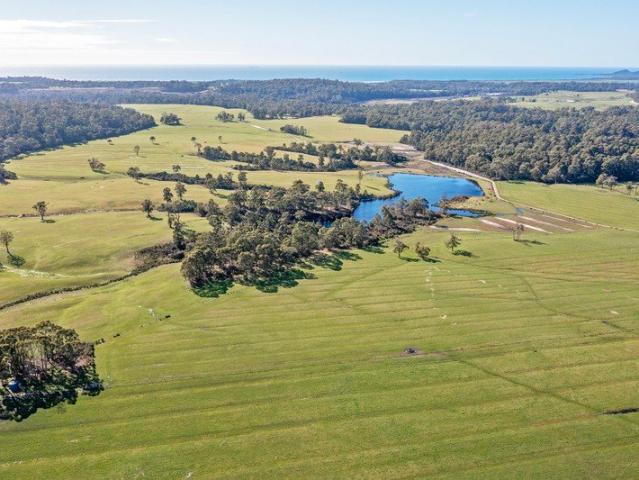 Productive Coastal Grazing and Dairy Support Opportunity