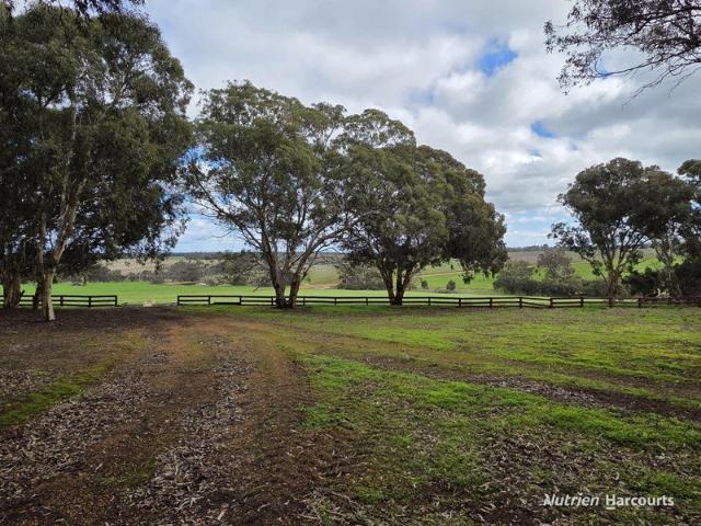 Productive Consistent Soils in a Reliable Rainfall Location