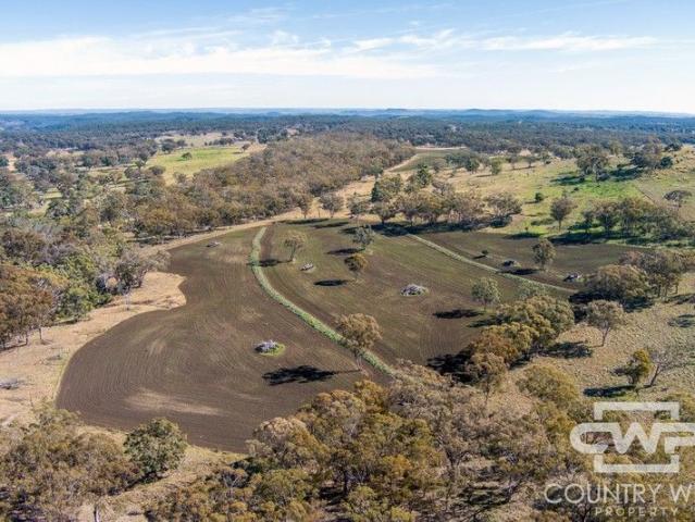 Productive Cropping & Grazing Opportunity MOTIVATED VENDORS