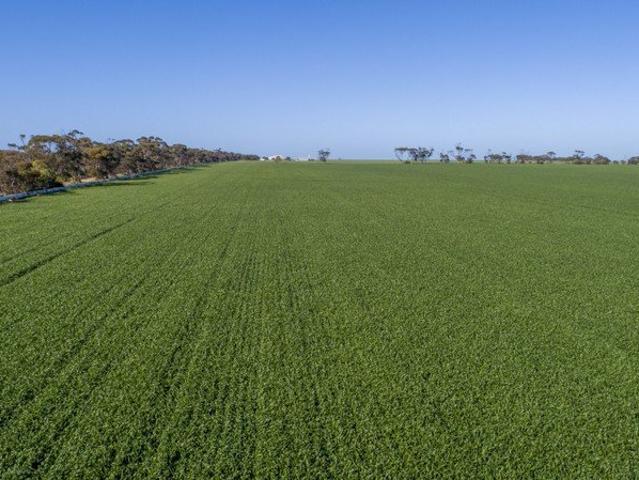 Productive Cropping Property For Lease