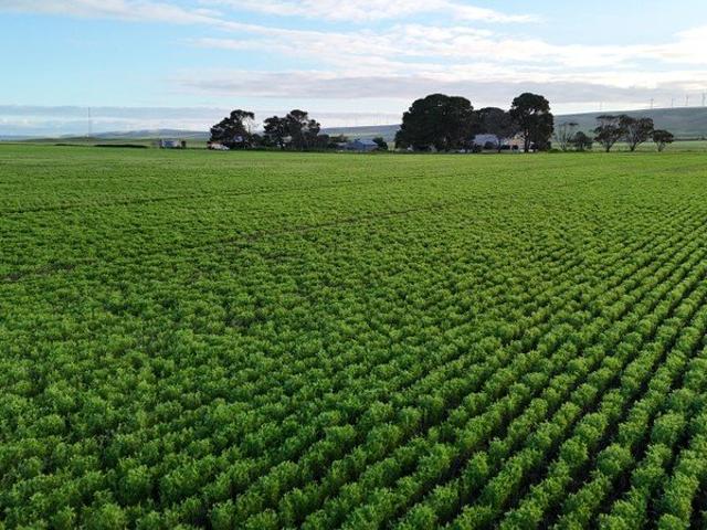 Productive Cropping Property with Excellent Accessibility