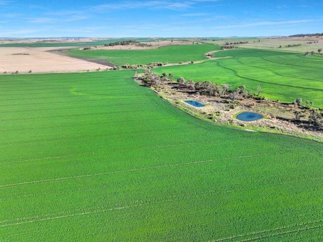 Productive dryland cropping opportunity located in the renowned Golden Triangle region