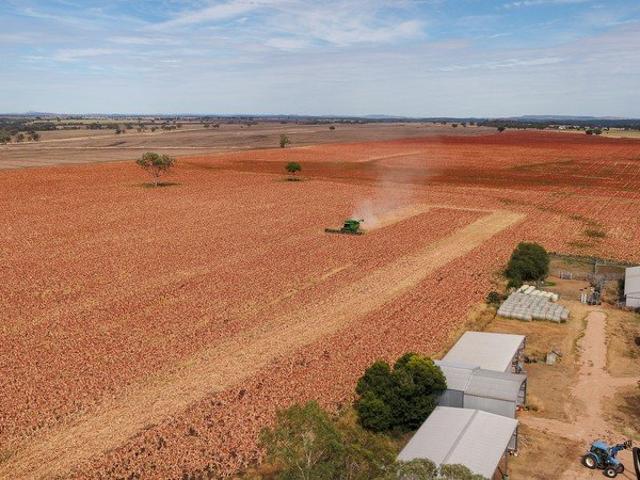 Productive Farm in the Delungra District