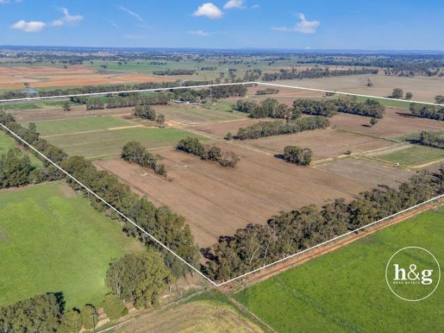 Productive Farm with Irrigation Infrastructure