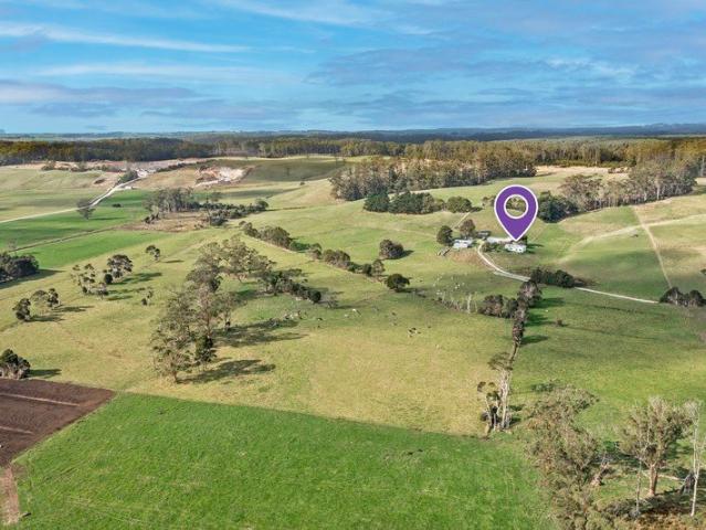 Productive Farmlet with Renovated Home & Dairy Potential