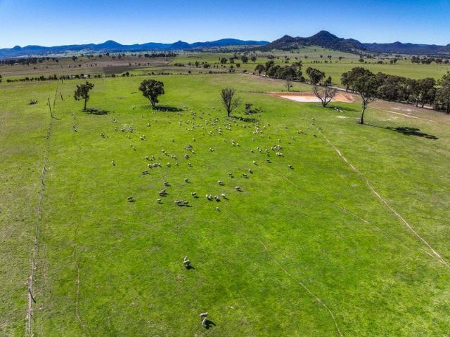 Productive Grazing Country with Dwelling Entitlement Prime Rylstone Opportunity