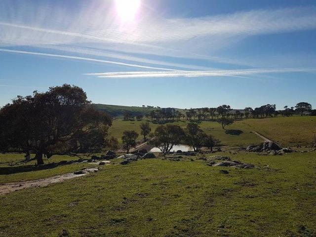 Productive Grazing Holding with Views, Water & Improvements