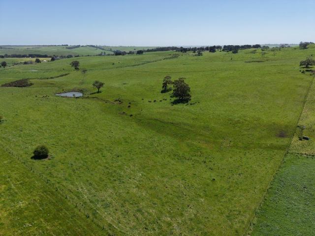 Productive Grazing Opportunity