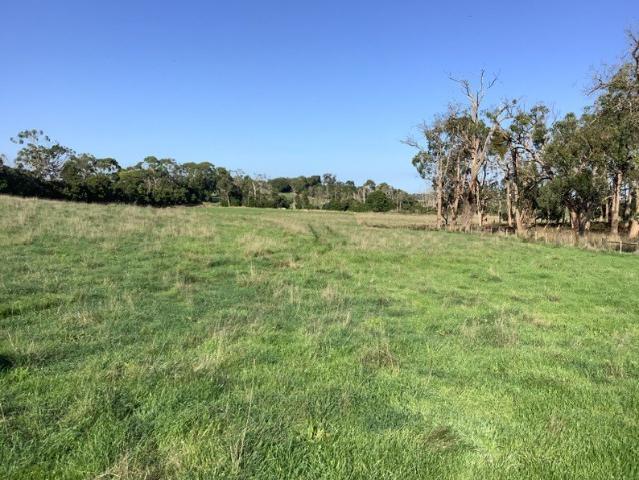 Productive Grazing Opportunity