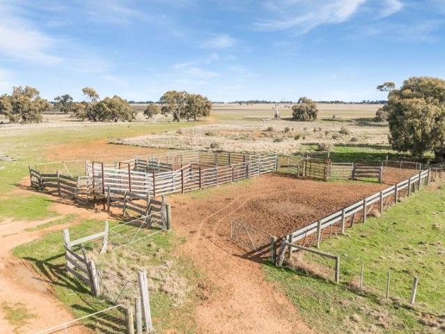 Productive Grazing Land
