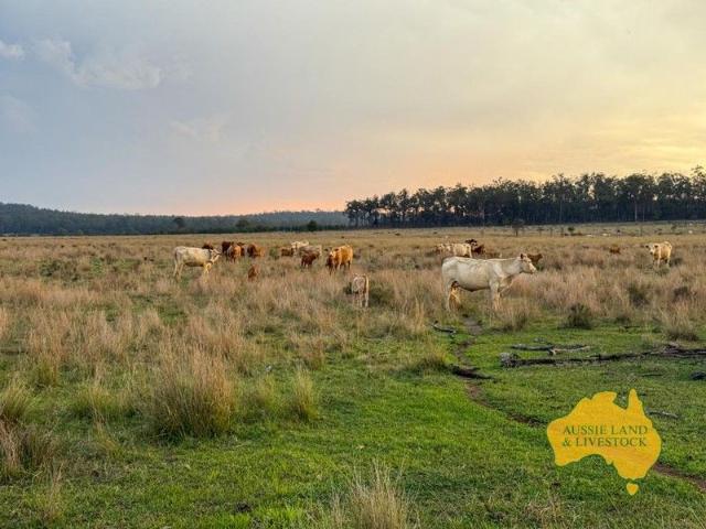 Productive Grazing Property with Secure Water for 90 100 breeders
