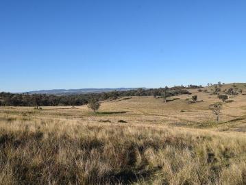 Productive Rural Holding with Bore Water and Scenic Views