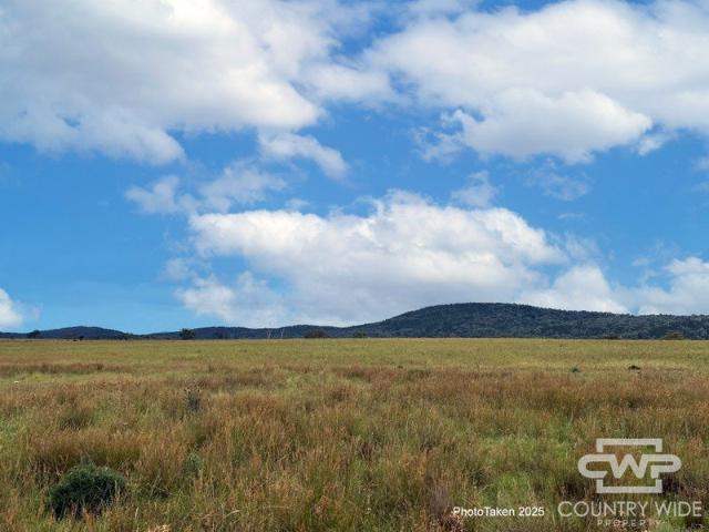 Productive Rural Holding with Lifestyle Appeal 80.94 Ha Approx. 200 Acres