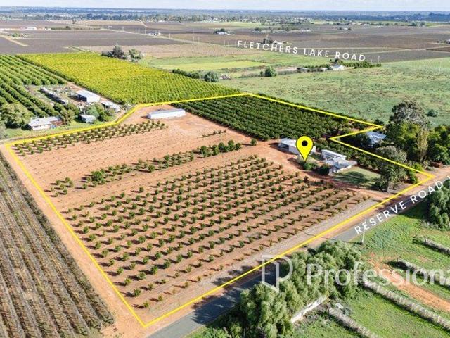 Productive Rural Lifestyle with Established Mandarins