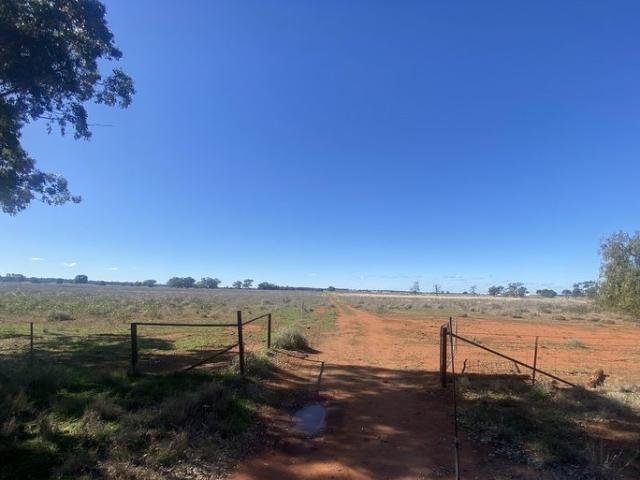 Productive Rural Lifestyle Opportunity 250 Acres across three titles