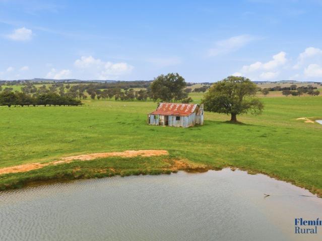 Productive Rural Property with Exceptional Homesite Potential