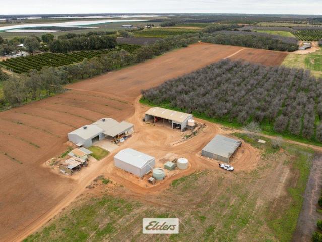 Productive, Reliable & Renowned Irrigated Holding