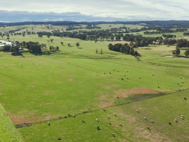 Productive River Flats First Time Offered in Generations