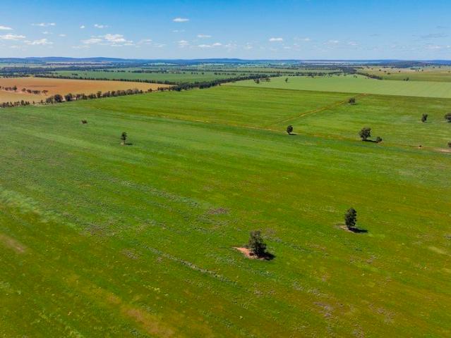Productive Riverina Aggregation