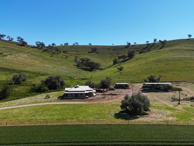 Productive & Scenic Mid North Grazing Opportunity