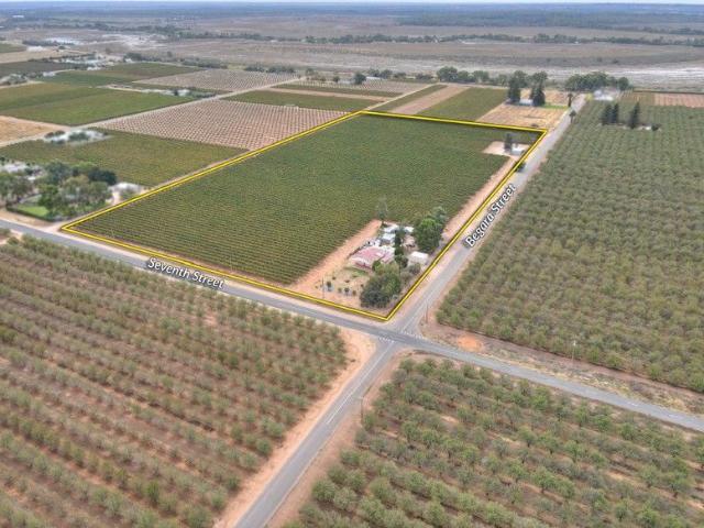 Productive vineyard with 4 bedroom home
