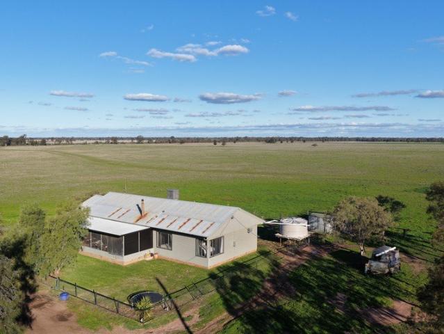 Productive & Well Improved Mixed Farm