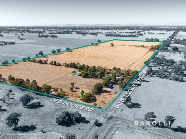 Productive 116 Acres with Comfortable Residence & Extensive Infrastructure