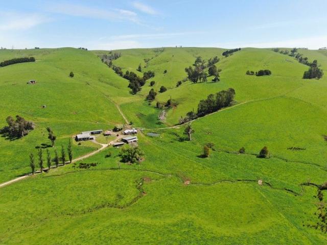 Productive 257 Acre Holding Across 3 Titles Boolarra South