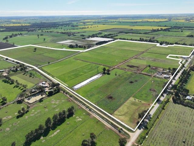 Productive 200 Acre Farm with Comfortable Family Home