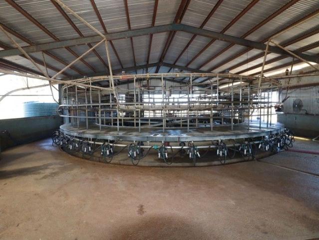 Productive 306 Acre Dairy Holding with Rotary Dairy and Strong Water Security