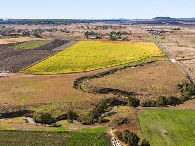Build Your Dream on 40 Acres!