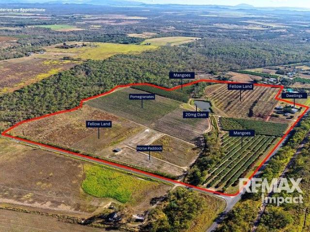 Productive 81 Acre Farm with Strong Income Potential