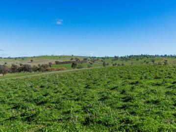 Harefield, Marinna