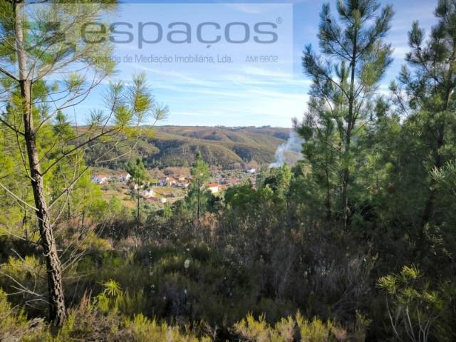 Proença Proença 98017421