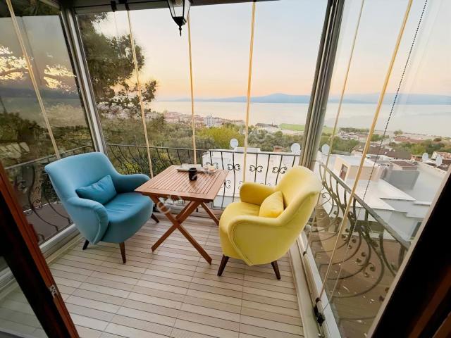 Profasor *dan Mudanya 'da Kiralık Villa