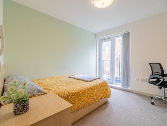 Professional Ensuite Room Available September