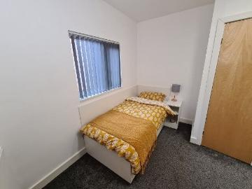 Professional Room Available